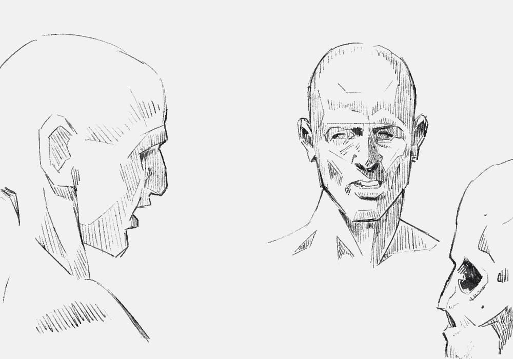 Front and side profile head studies